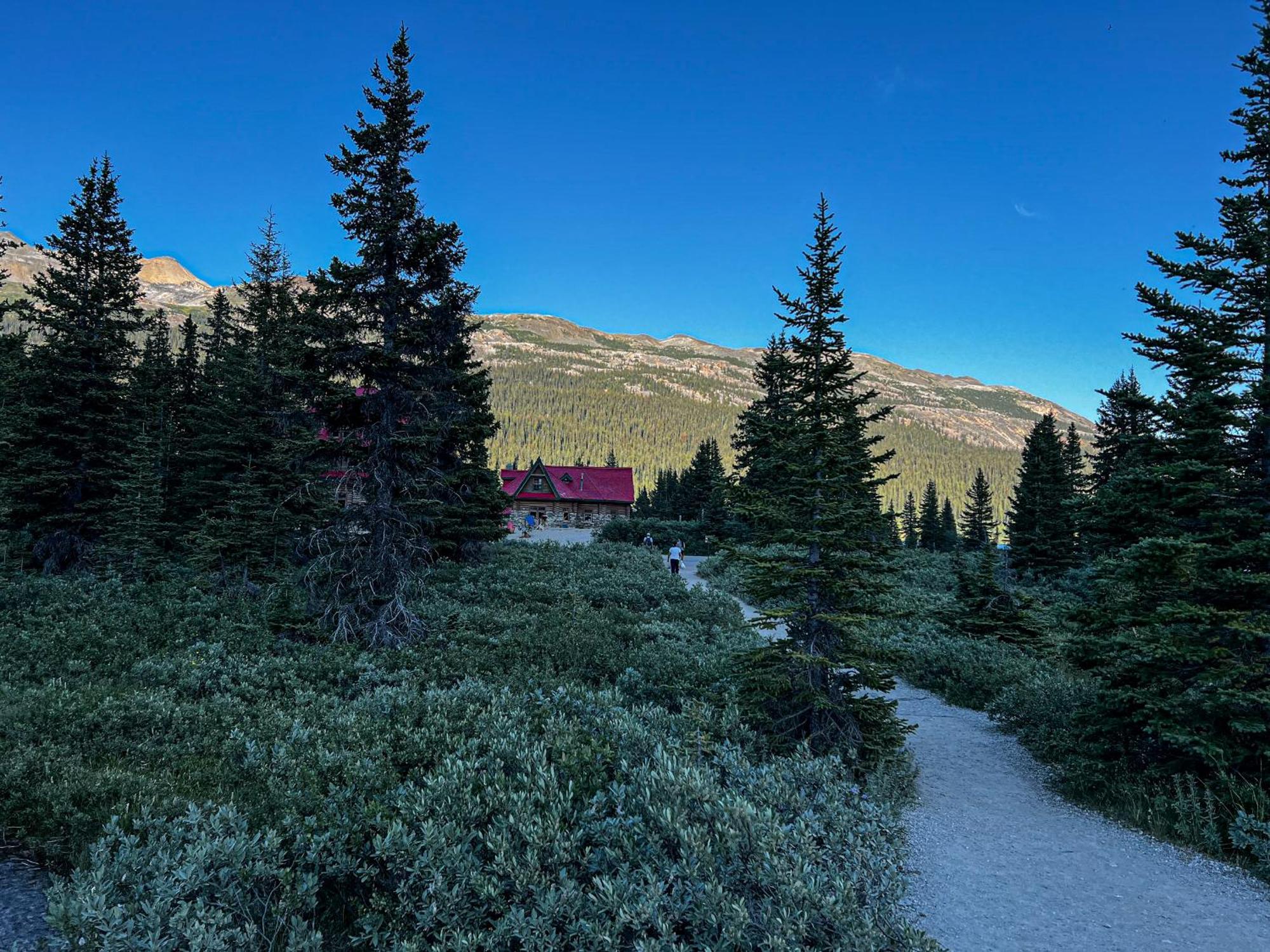 The Lodge At Bow Lake Lake Louise Eksteriør billede